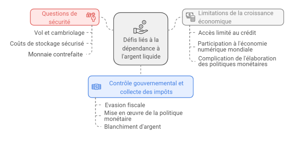  Les défis posés par une forte dépendance à l'égard de l'argent liquide