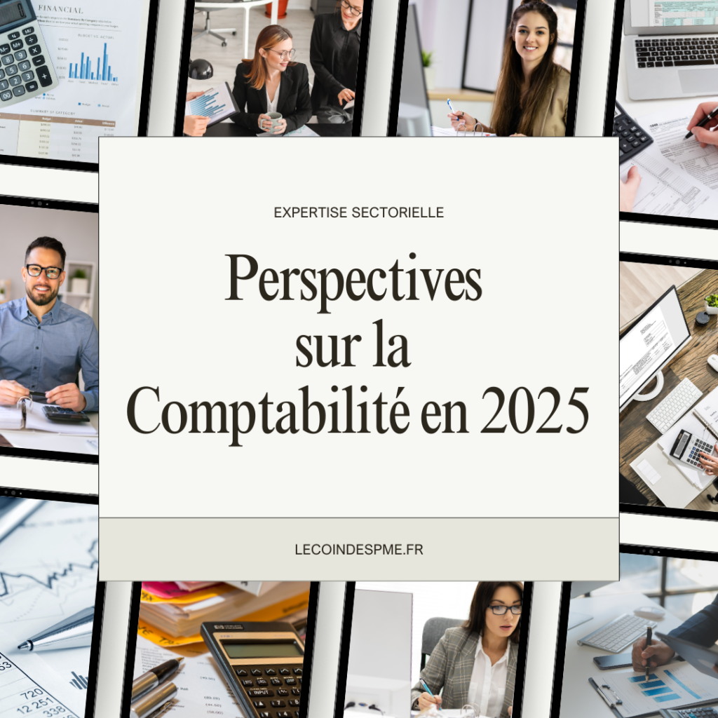 Perspectives sur la comptabilité